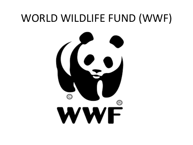 Dr. med. Sabine Rohde | WWF